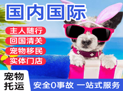 长治机场物流国际宠物托运 【国